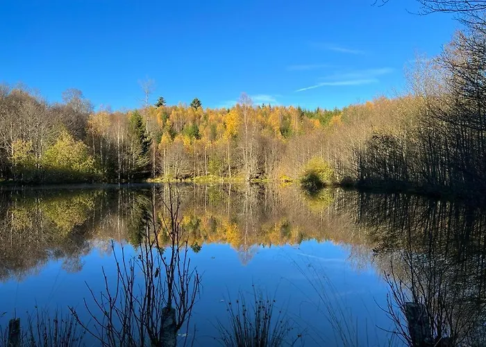 Appartement L' Extravagante Im Garten Von Schloss *