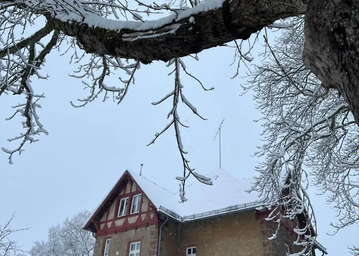 L' Extravagante Im Garten Von Schloss Апартаменты *