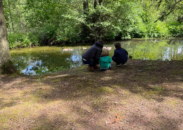 L' Extravagante Im Garten Von Schloss *