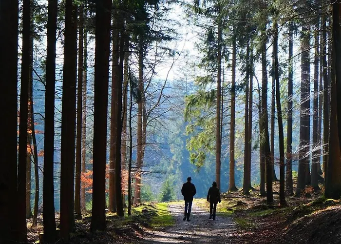 L' Extravagante Im Garten Von Schloss * Schmidtheim