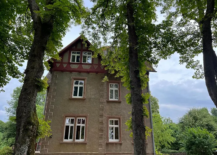 L' Extravagante Im Garten Von Schloss Апартаменты Schmidtheim