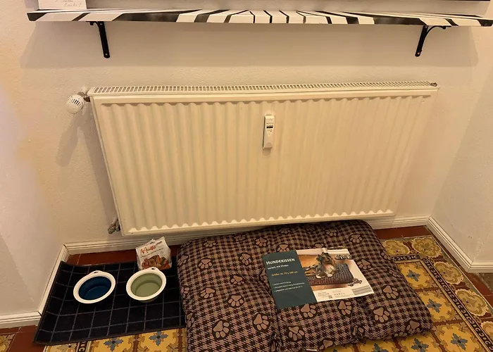 L' Extravagante Im Garten Von Schloss Appartement